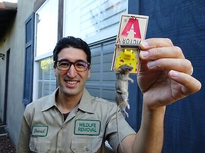 Hackensack pest control